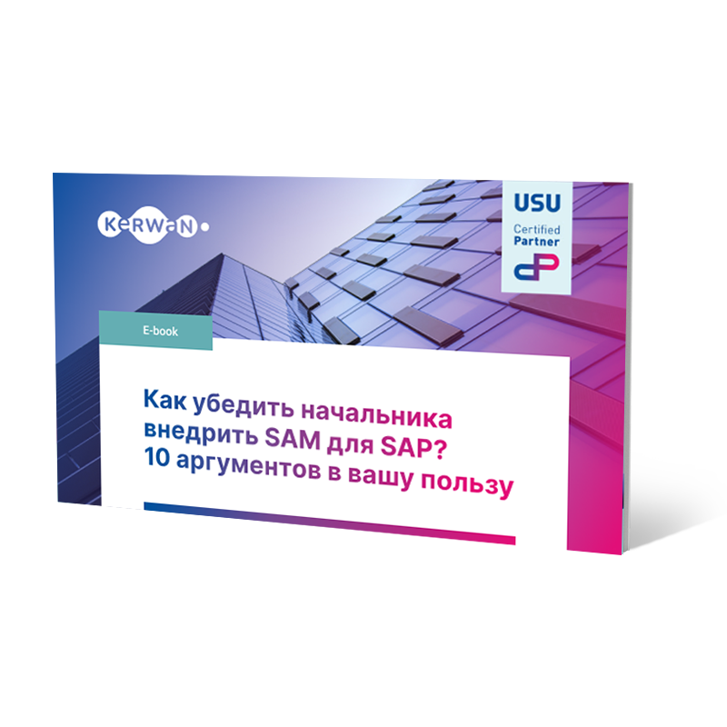 Как убедить начальника внедрить SAM для SAP? 10 аргументов в вашу пользу